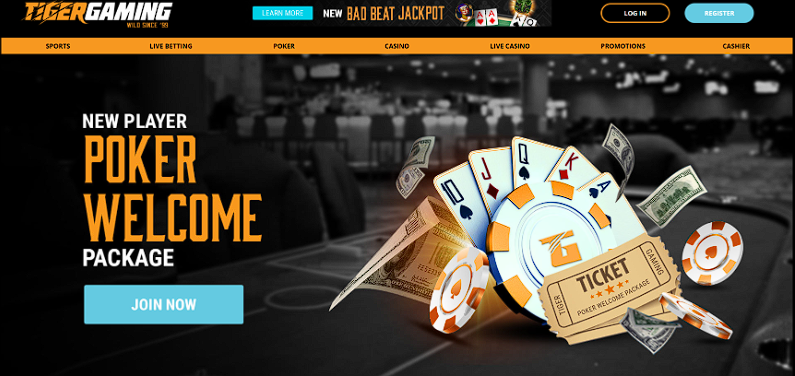 TigerGaming welcome package overview